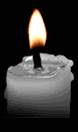 Vela