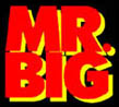 Mr. BIG